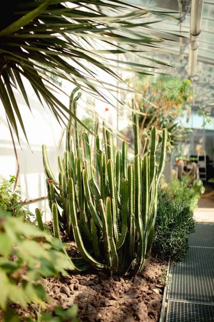 Déco du jardin: petits prix et récup