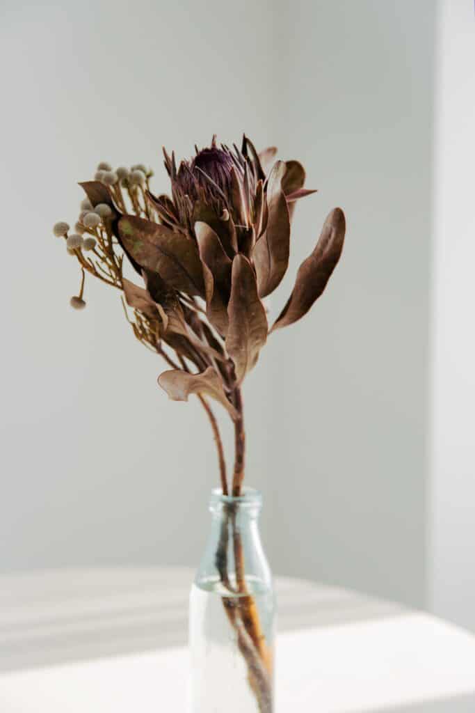 vase avec bouquet fleurs