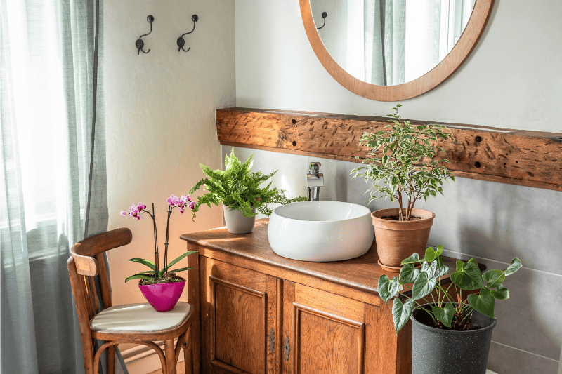 salle de bain avec des plantes