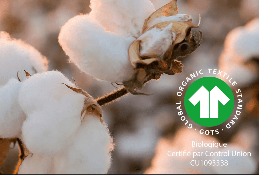 utilisation coton biologique pour le textile