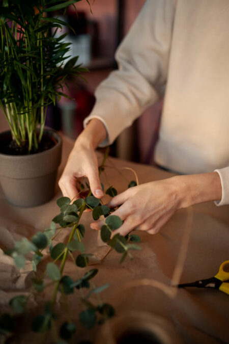 prendre soin d'une plante