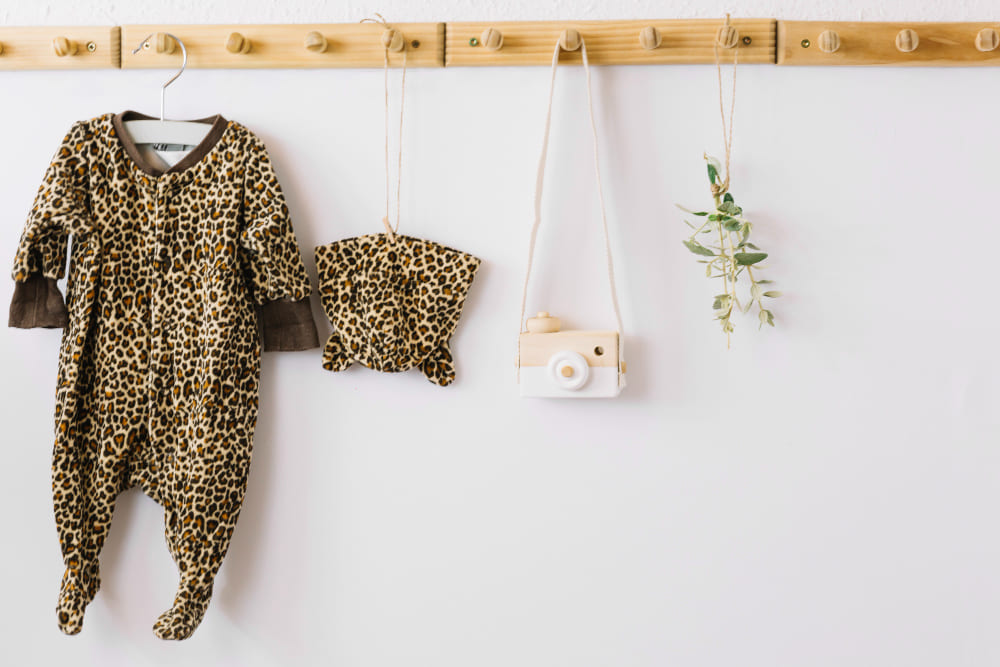 crochets muraux dans l'entrée