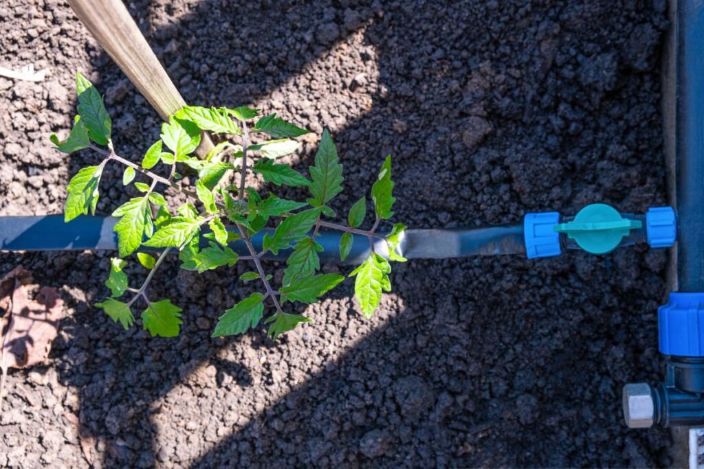 systeme goutte a goutte